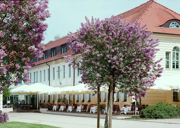 Top kleine Hotels in Dresden entdecken
